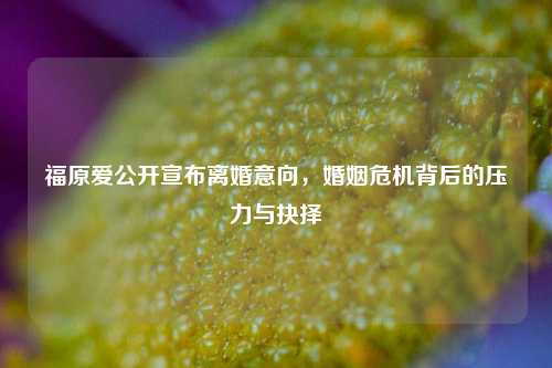 福原爱公开宣布离婚意向，婚姻危机背后的压力与抉择