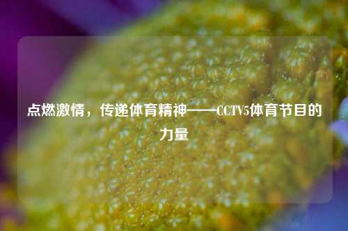 点燃激情，传递体育精神——CCTV5体育节目的力量