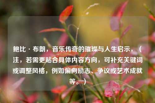 鲍比·布朗，音乐传奇的璀璨与人生启示，（注，若需更贴合具体内容方向，可补充关键词或调整风格，例如偏向励志、争议或艺术成就等。）