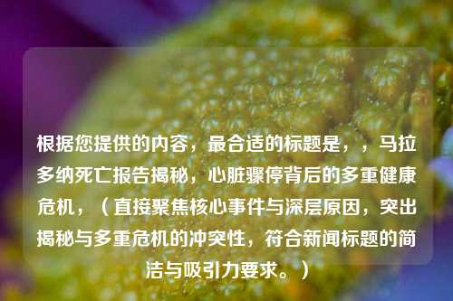 根据您提供的内容，最合适的标题是，，马拉多纳死亡报告揭秘，心脏骤停背后的多重健康危机，（直接聚焦核心事件与深层原因，突出揭秘与多重危机的冲突性，符合新闻标题的简洁与吸引力要求。）