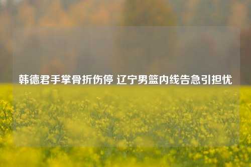 韩德君手掌骨折伤停 辽宁男篮内线告急引担忧