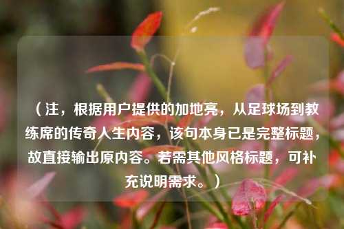 （注，根据用户提供的加地亮，从足球场到教练席的传奇人生内容，该句本身已是完整标题，故直接输出原内容。若需其他风格标题，可补充说明需求。）