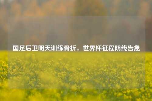 国足后卫明天训练骨折,世界杯征程防线告急