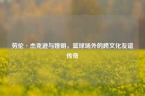 劳伦·杰克逊与姚明，篮球场外的跨文化友谊传奇