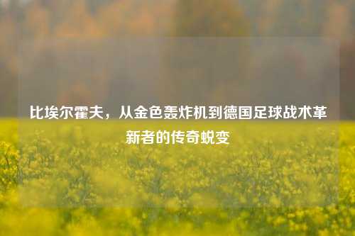 比埃尔霍夫,从金色轰炸机到德国足球战术革新者的传奇蜕变