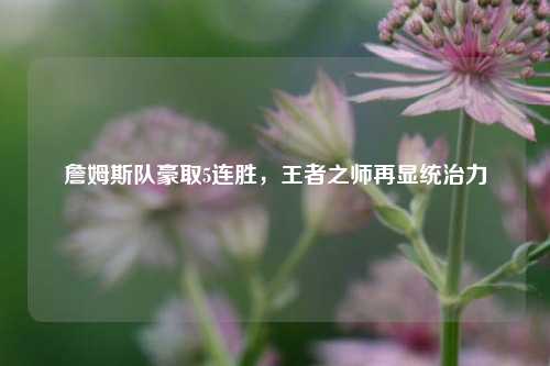 詹姆斯队豪取5连胜,王者之师再显统治力