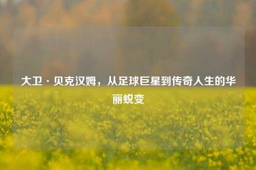 大卫·贝克汉姆，从足球巨星到传奇人生的华丽蜕变