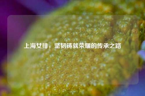 上海女排，坚韧铸就荣耀的传承之路