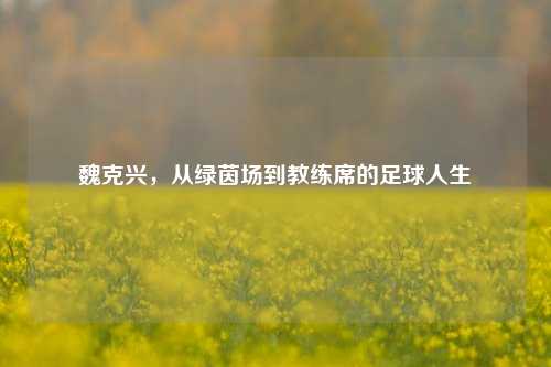 魏克兴，从绿茵场到教练席的足球人生