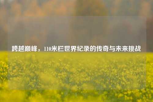 跨越巅峰,110米栏世界纪录的传奇与未来挑战