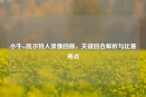 小牛vs凯尔特人录像回顾,关键回合解析与比赛亮点