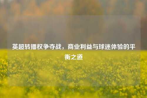 英超转播权争夺战，商业利益与球迷体验的平衡之道