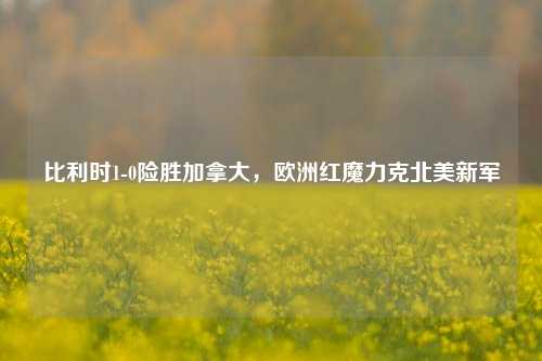 比利时1-0险胜加拿大，欧洲红魔力克北美新军