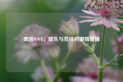 美国WWE，娱乐与竞技的激情碰撞