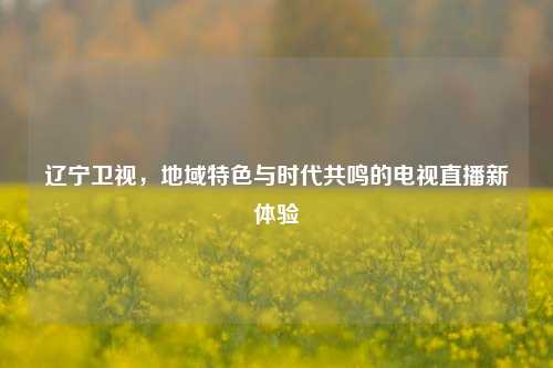 辽宁卫视，地域特色与时代共鸣的电视直播新体验