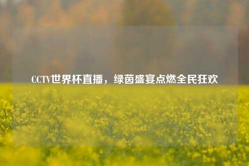 CCTV世界杯直播，绿茵盛宴点燃全民狂欢