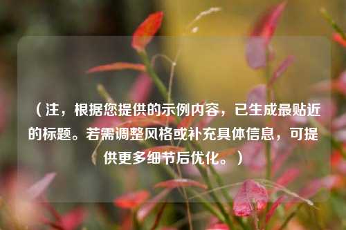 (注,根据您提供的示例内容,已生成最贴近的标题。若需调整风格或补充具体信息,可提供更多细节后优化。)