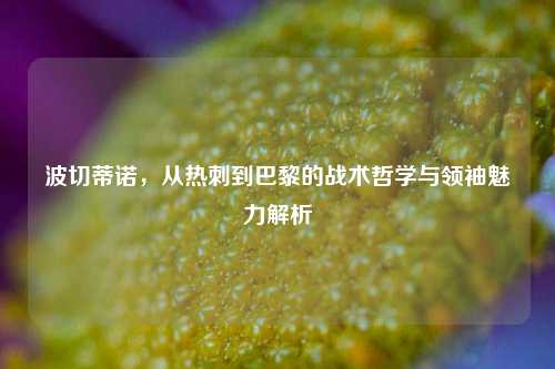 波切蒂诺，从热刺到巴黎的战术哲学与领袖魅力解析