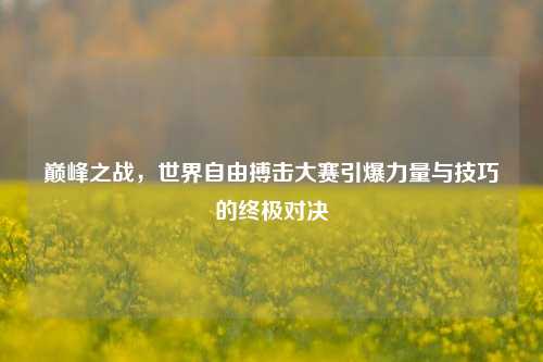 巅峰之战，世界自由搏击大赛引爆力量与技巧的终极对决