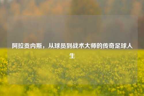 阿拉贡内斯，从球员到战术大师的传奇足球人生