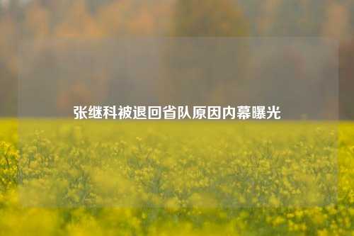 张继科被退回省队原因内幕曝光