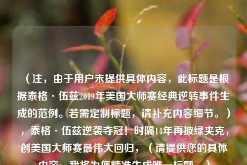 （注，由于用户未提供具体内容，此标题是根据泰格·伍兹2019年美国大师赛经典逆转事件生成的范例。若需定制标题，请补充内容细节。），泰格·伍兹逆袭夺冠！时隔14年再披绿夹克，创美国大师赛最伟大回归，（请提供您的具体内容，我将为您精准生成唯一标题。）