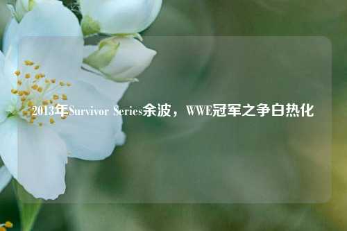 2013年Survivor Series余波,WWE冠军之争白热化