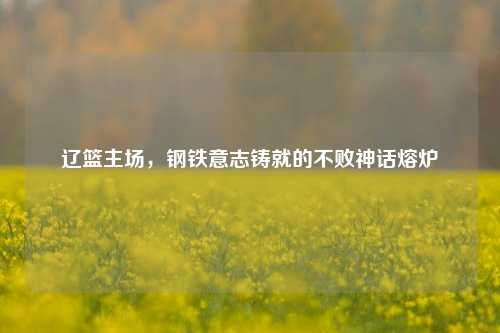 辽篮主场,钢铁意志铸就的不败神话熔炉