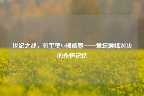 世纪之战，帕奎奥VS梅威瑟——拳坛巅峰对决的永恒记忆
