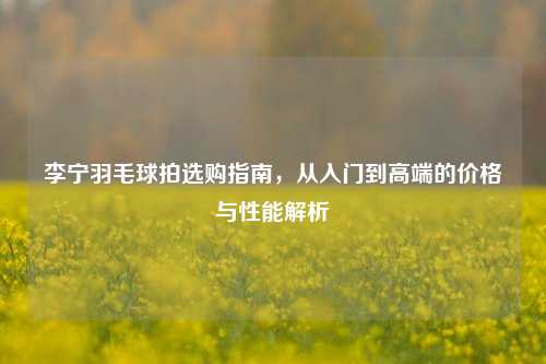李宁羽毛球拍选购指南，从入门到高端的价格与性能解析