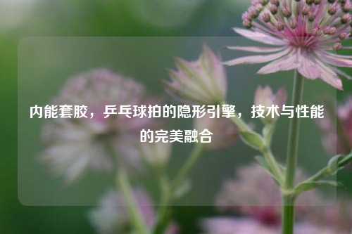 内能套胶,乒乓球拍的隐形引擎,技术与性能的完美融合