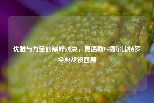 优雅与力量的巅峰对决，费德勒VS德尔波特罗经典战役回顾