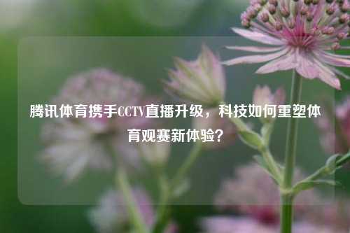 腾讯体育携手CCTV直播升级,科技如何重塑体育观赛新体验?