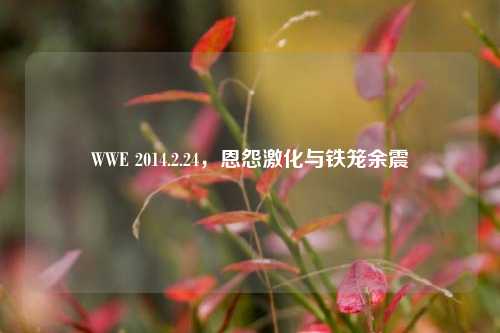 WWE 2014.2.24,恩怨激化与铁笼余震