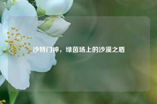 沙特门神，绿茵场上的沙漠之盾