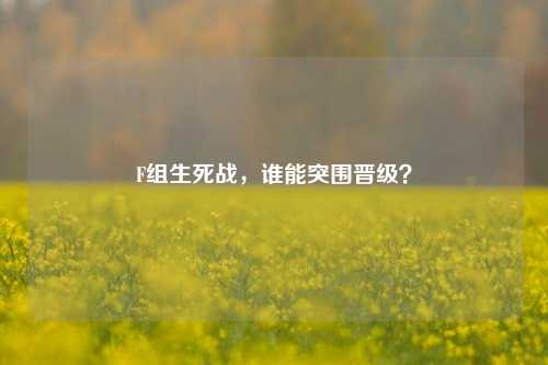 F组生死战，谁能突围晋级？