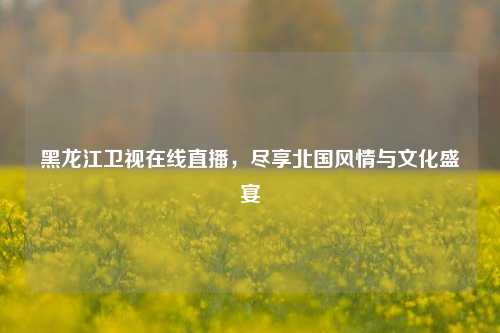 黑龙江卫视在线直播，尽享北国风情与文化盛宴