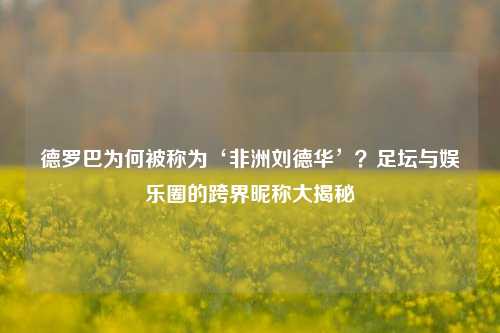 德罗巴为何被称为‘非洲刘德华’?足坛与娱乐圈的跨界昵称大揭秘