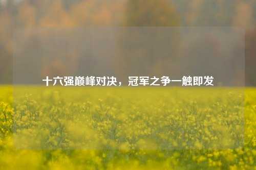 十六强巅峰对决，冠军之争一触即发