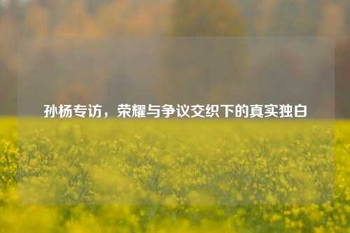孙杨专访，荣耀与争议交织下的真实独白