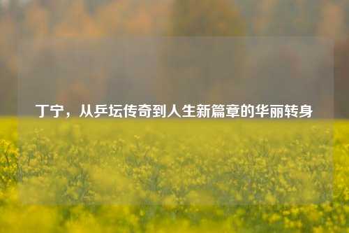 丁宁，从乒坛传奇到人生新篇章的华丽转身