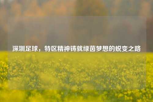 深圳足球，特区精神铸就绿茵梦想的蜕变之路