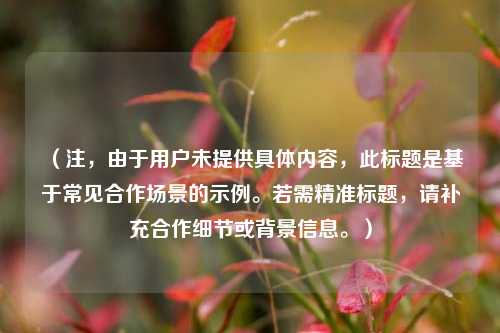 （注，由于用户未提供具体内容，此标题是基于常见合作场景的示例。若需精准标题，请补充合作细节或背景信息。）