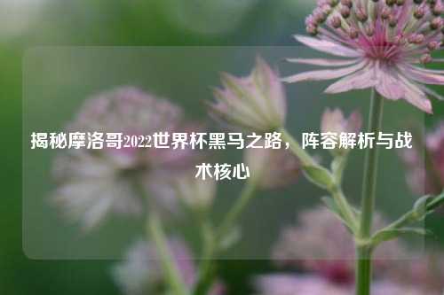 揭秘摩洛哥2022世界杯黑马之路，阵容解析与战术核心
