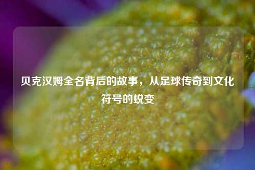 贝克汉姆全名背后的故事,从足球传奇到文化符号的蜕变