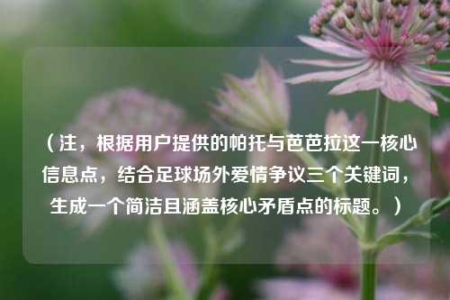 (注,根据用户提供的帕托与芭芭拉这一核心信息点,结合足球场外爱情争议三个关键词,生成一个简洁且涵盖核心矛盾点的标题。)