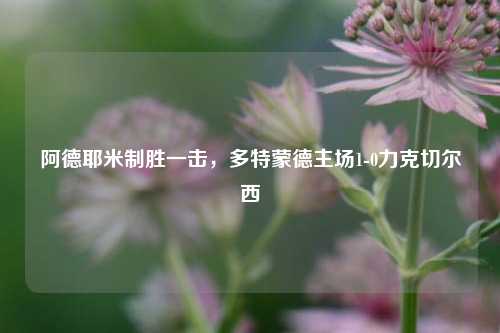 阿德耶米制胜一击,多特蒙德主场1-0力克切尔西