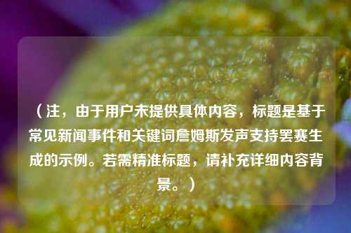 （注，由于用户未提供具体内容，标题是基于常见新闻事件和关键词詹姆斯发声支持罢赛生成的示例。若需精准标题，请补充详细内容背景。）