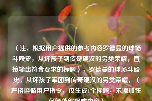 （注，根据用户提供的参考内容罗德曼的球场斗殴史，从坏孩子到传奇硬汉的另类荣耀，直接输出符合要求的标题），罗德曼的球场斗殴史，从坏孩子军团到传奇硬汉的另类荣耀，（严格遵循用户指令，仅生成1个标题，未添加任何额外解释或内容）