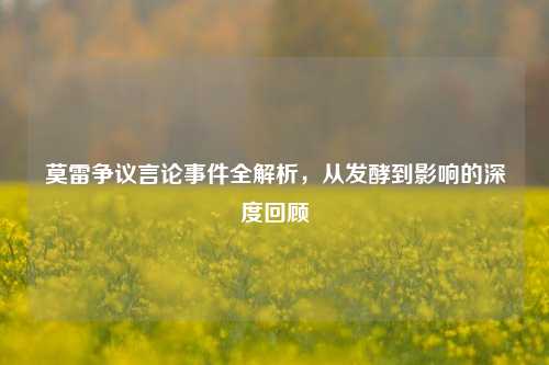 莫雷争议言论事件全解析，从发酵到影响的深度回顾